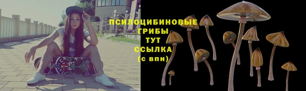 гидропоника Абаза
