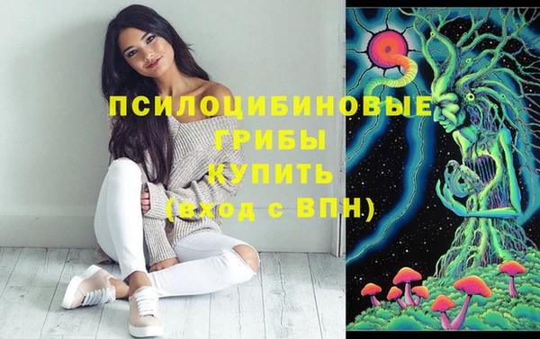 бошки Новозыбков
