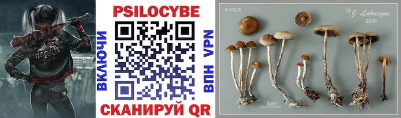 ссылка на мегу как зайти  Шлиссельбург  Галлюциногенные грибы GOLDEN TEACHER 